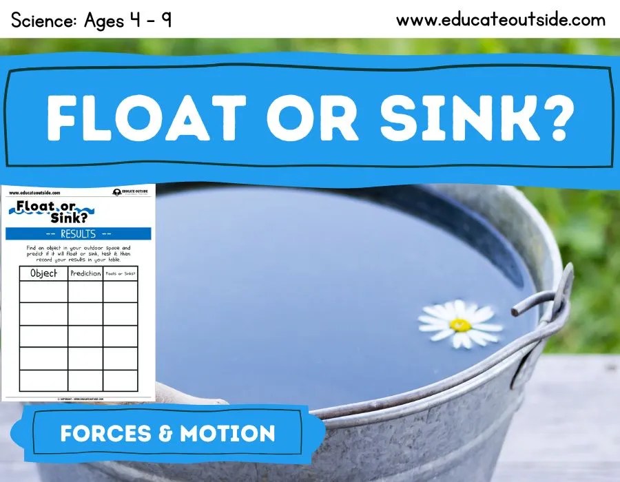 Forces and Motion Lesson Floating and Sinking Science Investigation