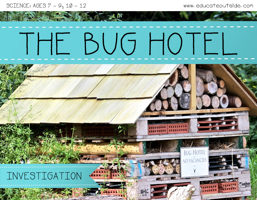 Bugs Hotel Research Project Educate Outside