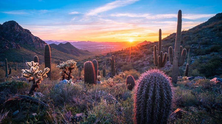 Top Colleges in Arizona Education Connection