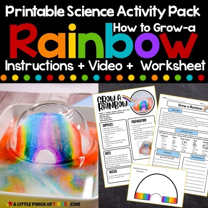 Top 8 Paper Towel Science Experiments Education Corner