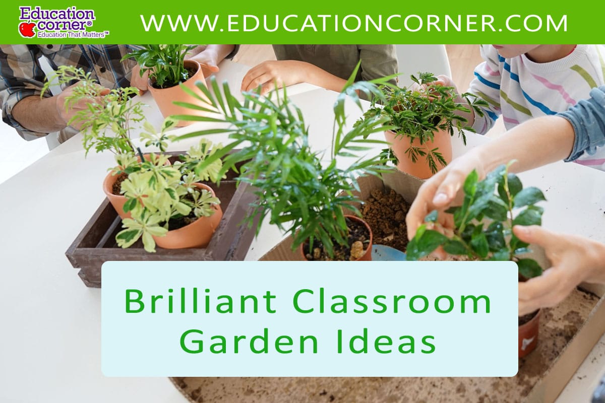 20 Brilliant Classroom Garden Ideas to Inspire Students Education Corner