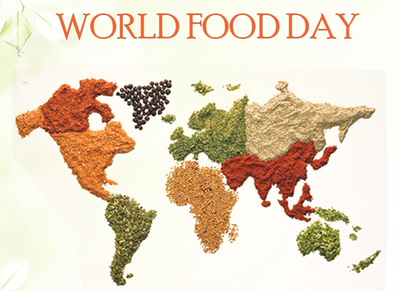 World Food Day 10 facts about food, nutrition EducationWorld