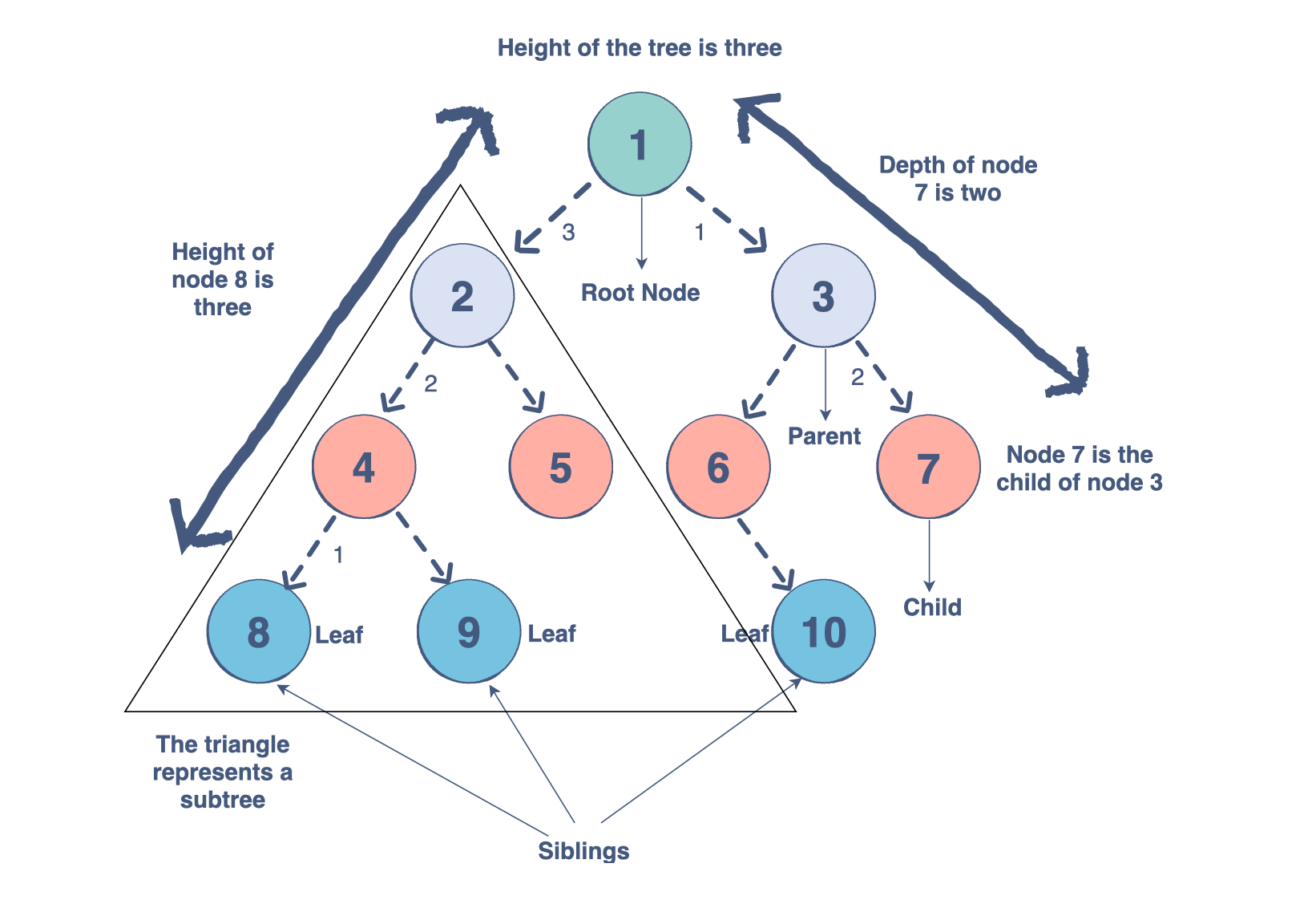 Data structures 101 A deep dive into trees with Java