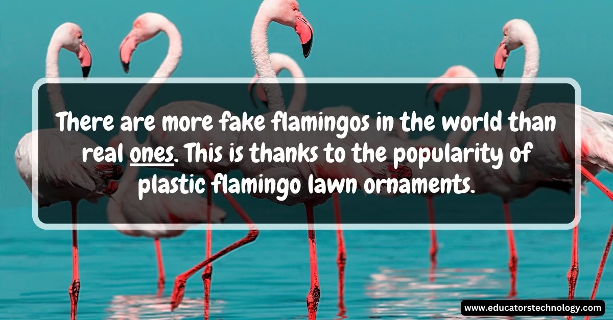 40 Weird and Fun Facts (Verified) Educators Technology