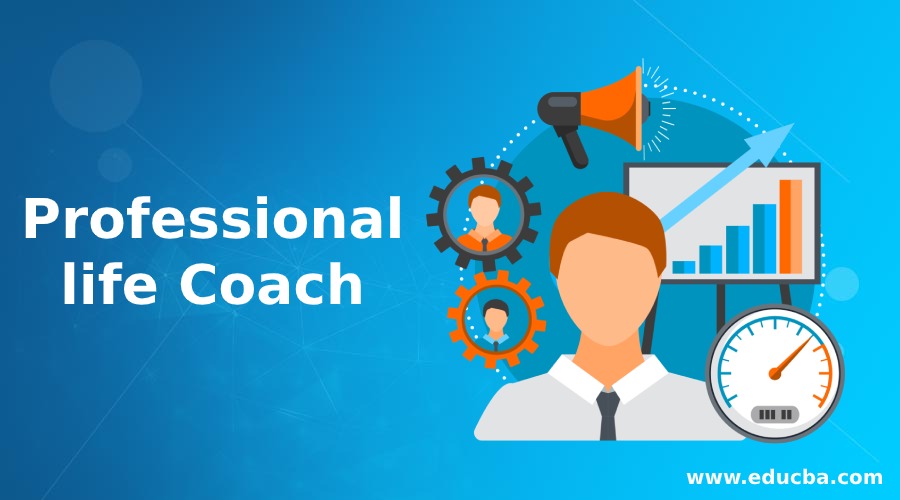 Professional life Coach Should You Appoint A Professional life Coach?