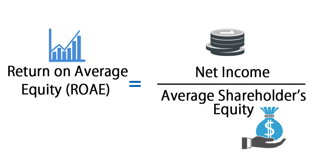 Return On Average Equity Formula Calculator (Excel template)