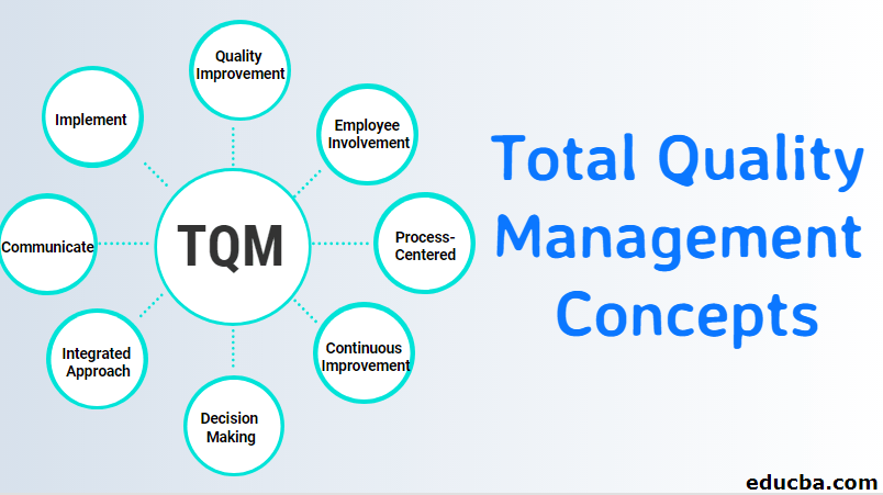 Total Quality Management Concepts 4 Most Popular Concepts To Know Total Quality Management Concepts 4 Most Popular Concepts To Know