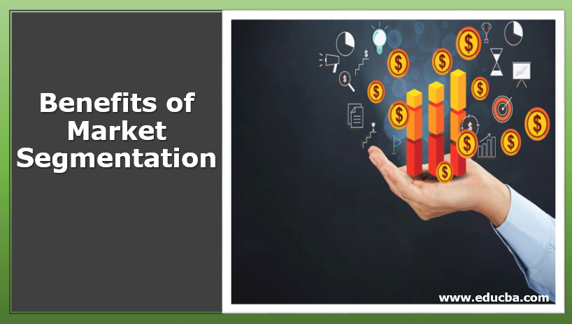 Benefits of Market Segmentation Organizing the Marketing Campaign