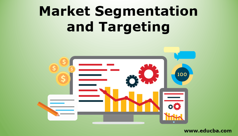 Market Segmentation and Targeting Categories of Target Marketing
