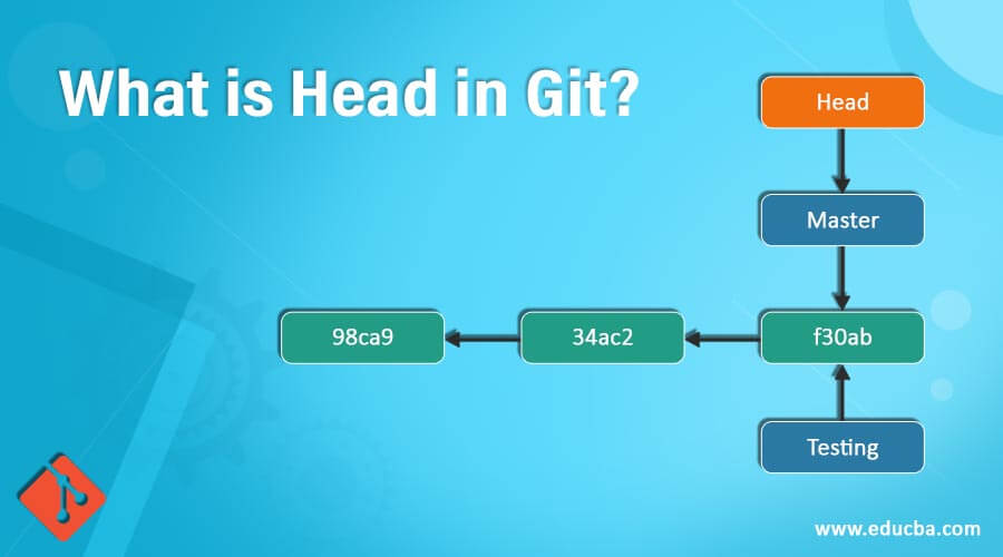 What is Head in Git? HEAD Pointer in Git with Advantages of Git HEAD