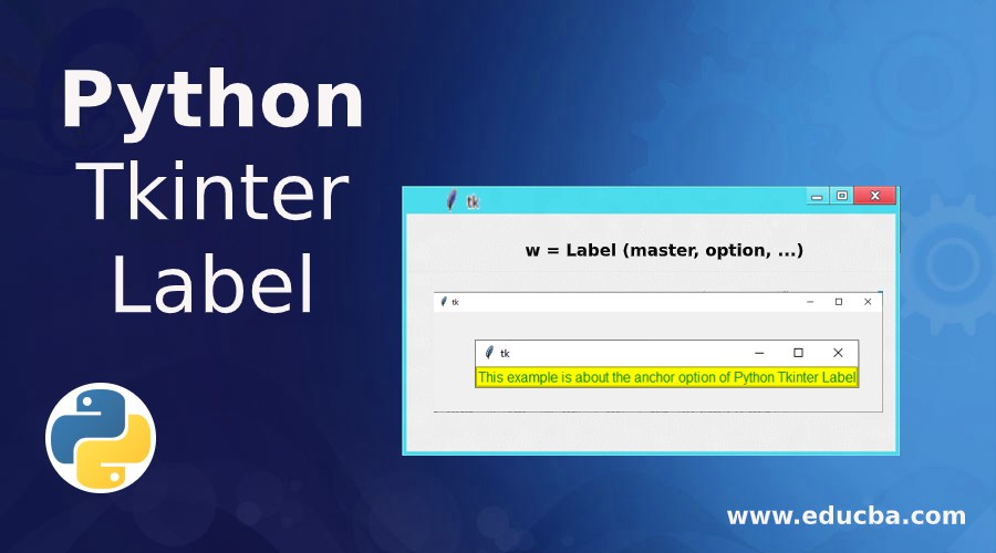 Python Tkinter Label Options Used in Python Tkinter Label