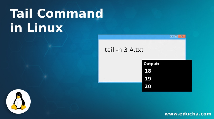 Tail Command in Linux Complete Guide to Command in Linux & Example