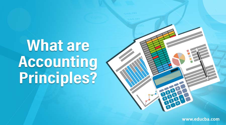 What are Accounting Principles? Guide to Top 12 Accounting Principles