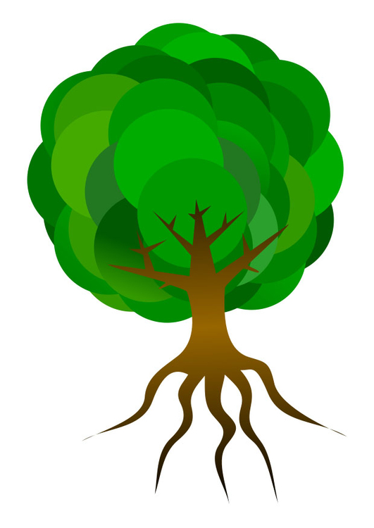 Image arbre Images Gratuites à Imprimer Dessin 26317