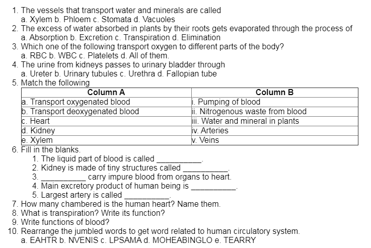 CBSE Class 7 Science Project Worksheet