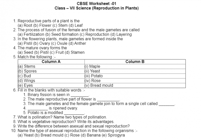 CBSE Sample Papers for Class 7 Science Click to Download.