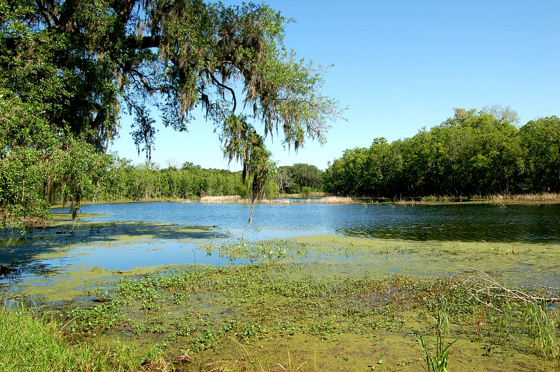 Natural Texas and Its People (Project 1)