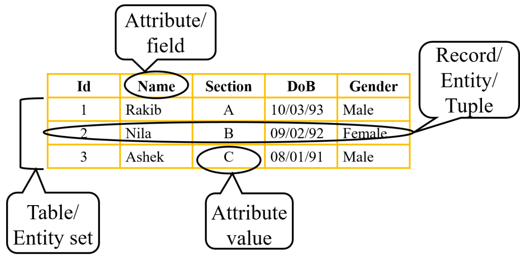 Sixth Chapter Lesson7 Database Model and Different key fields.