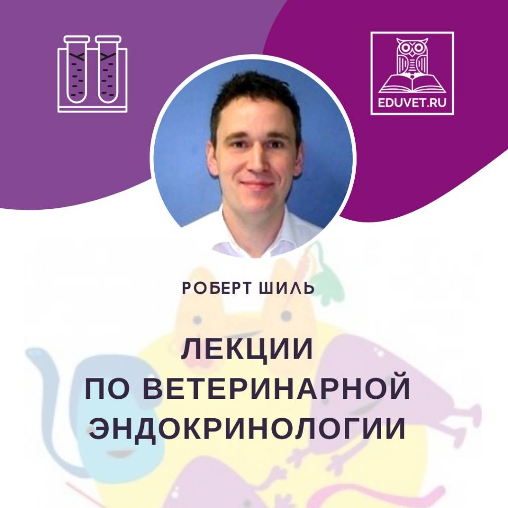 Конференция по ветеринарной эндокринологии (запись лекций в СДО
