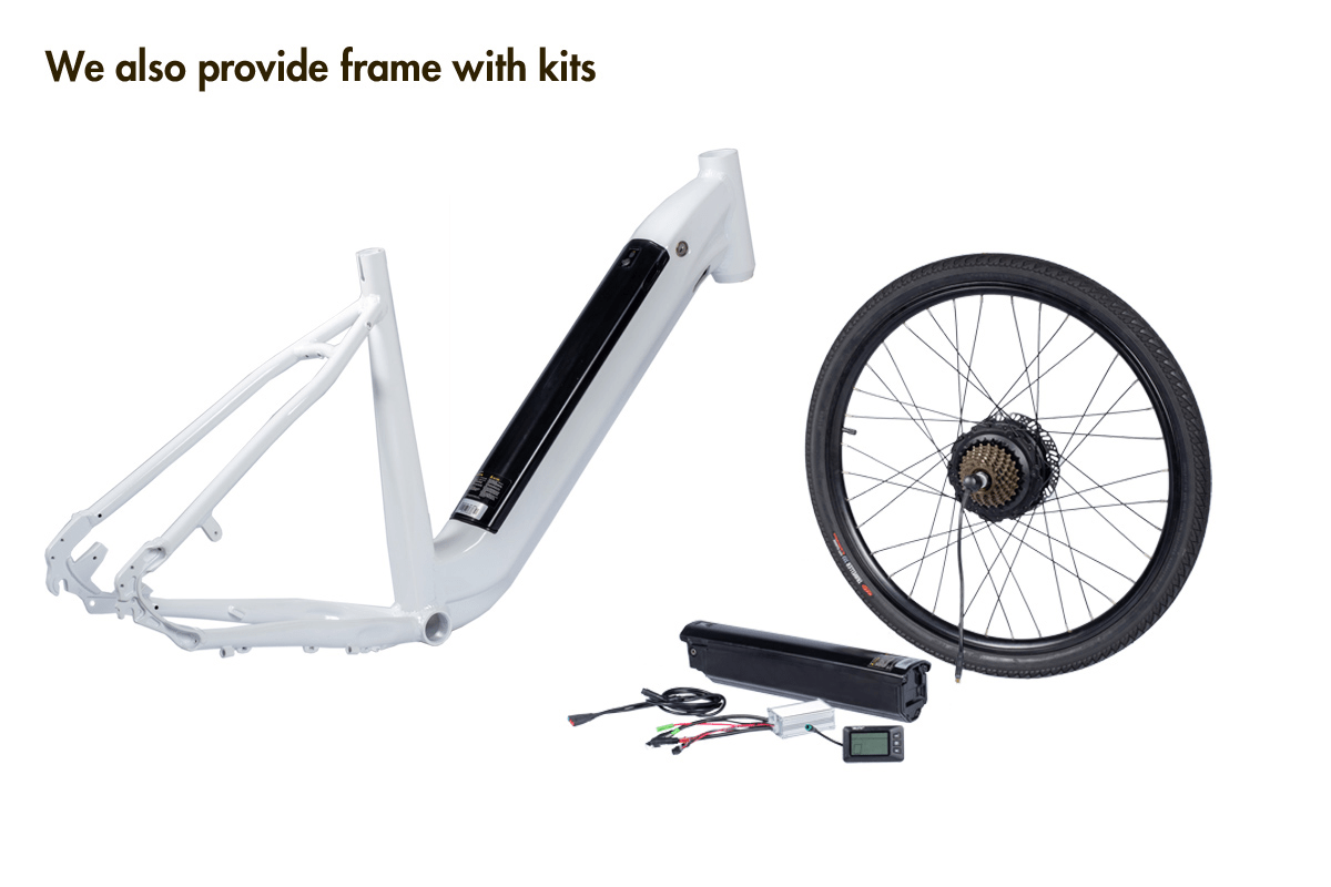 Best Trek Step Through Electric Bike Frame With Hub Motor Conversion
