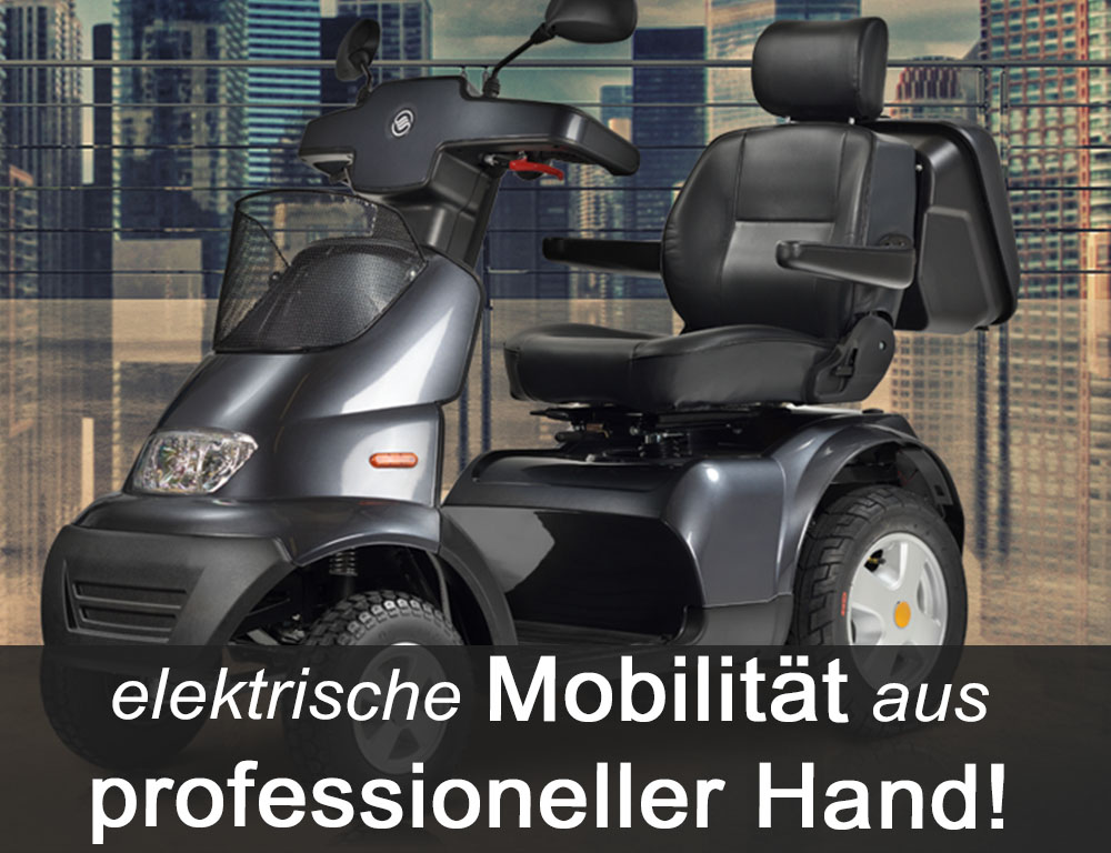Elektromobil Zweisitzer Preis