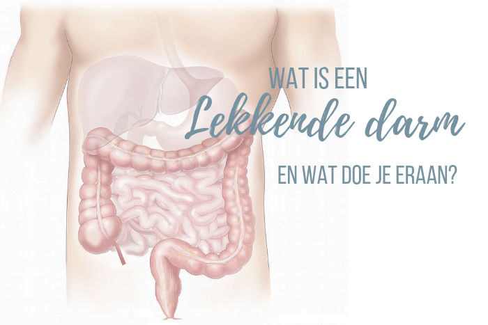 Een Lekkende Darm, Wat Is Dat Precies? (En Wat Kun Je Eraan Doen) - Eetpaleo
