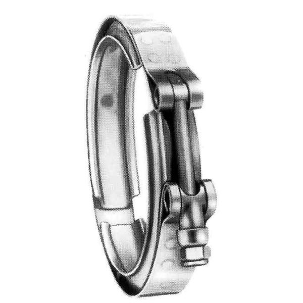 VBand Clamps On EFC International