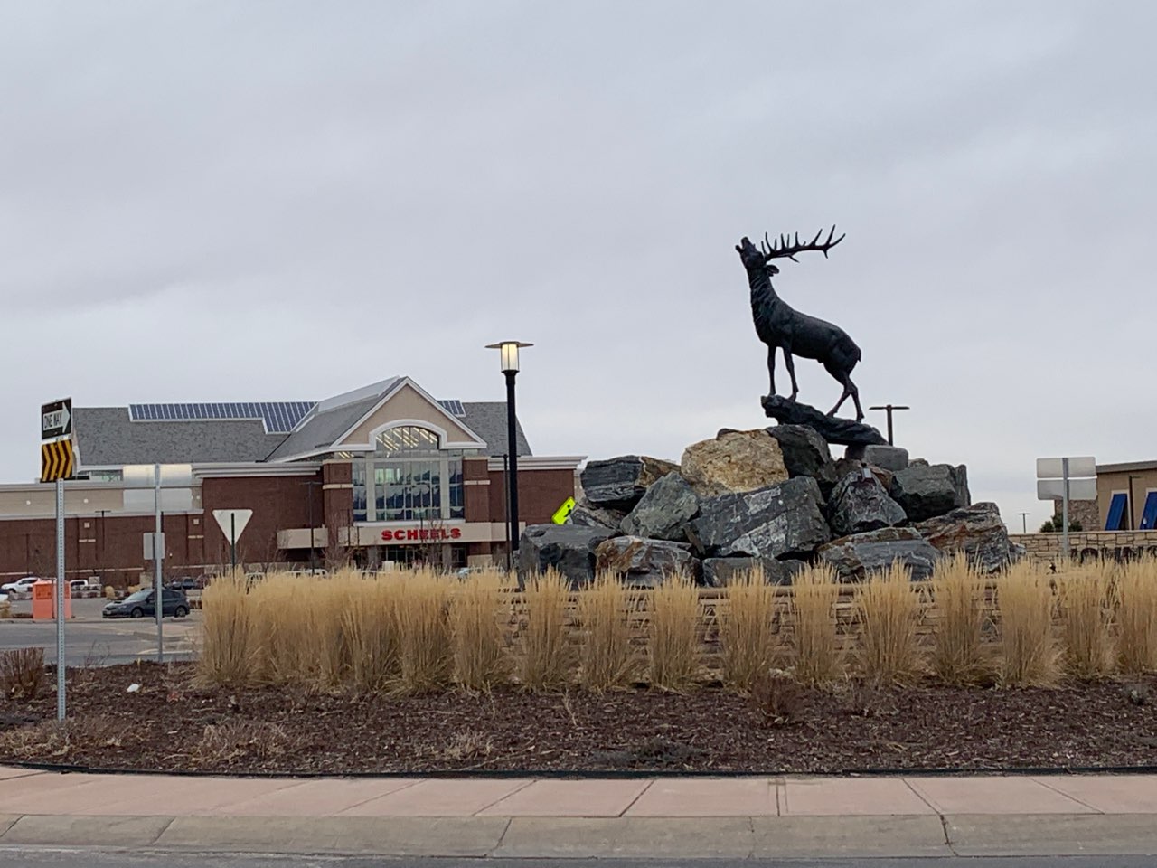 Johnstown, CO Pest Control Effective Pest Services