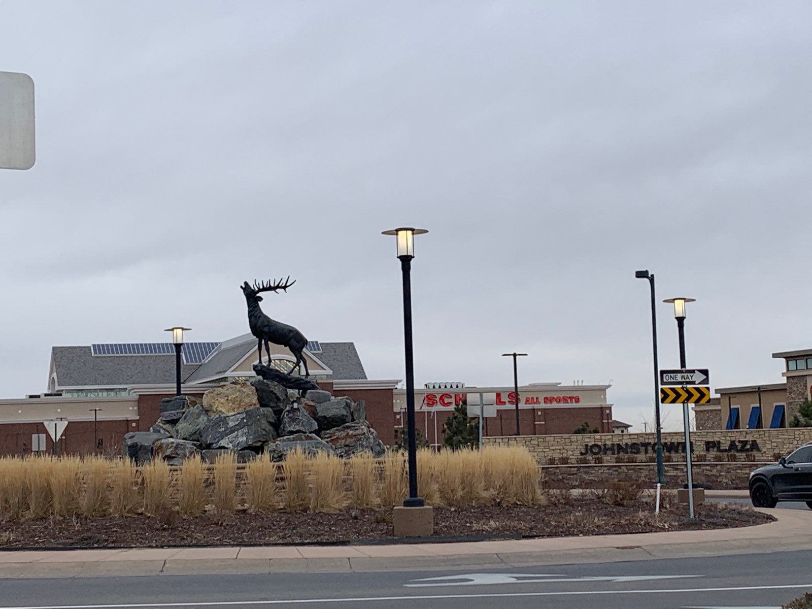 Johnstown, CO Pest Control Effective Pest Services