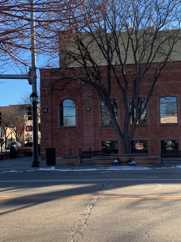 Longmont, CO Pest Control Effective Pest Services