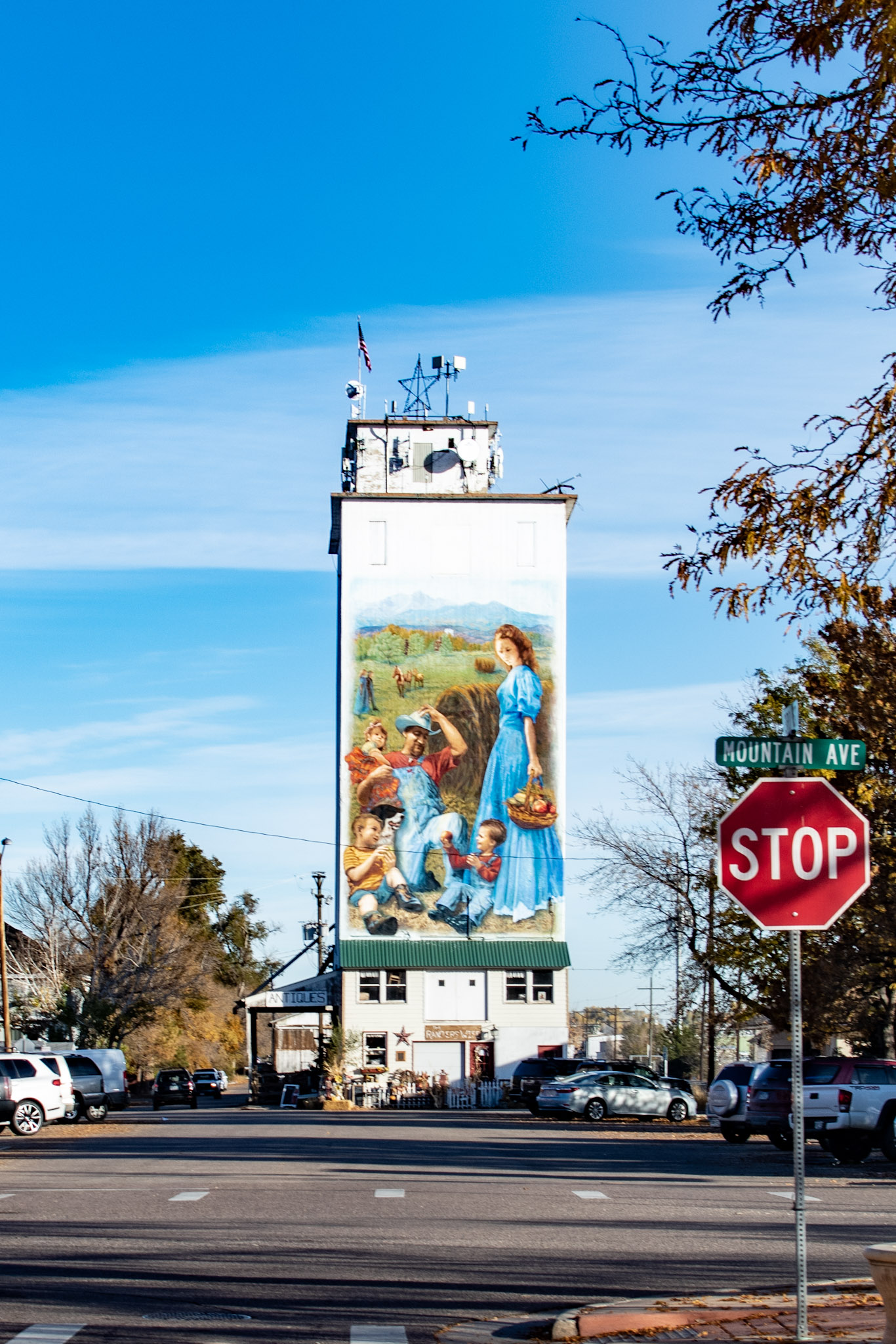 Berthoud, CO Pest Control Effective Pest Services