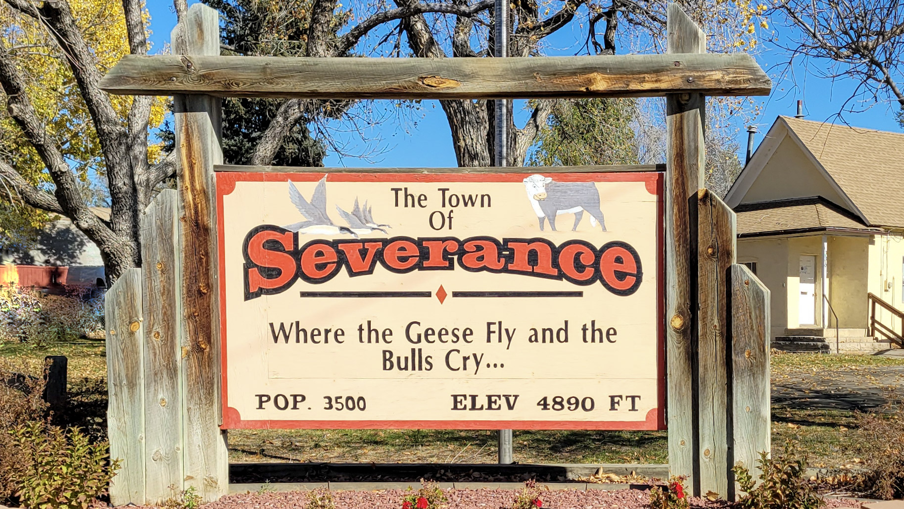 Windsor & Severance, CO Pest Control Effective Pest Services