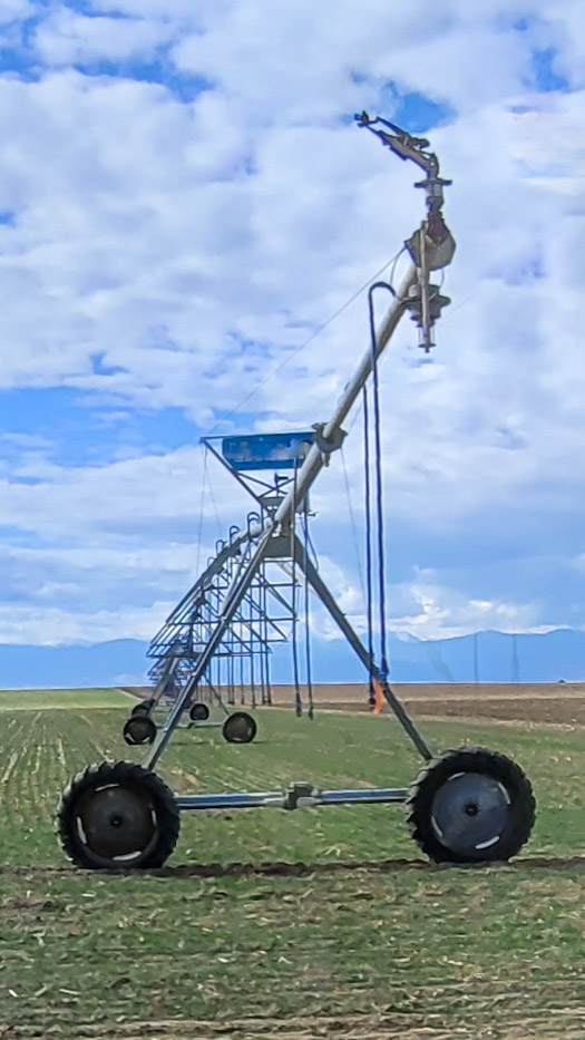 Windsor & Severance, CO Pest Control Effective Pest Services