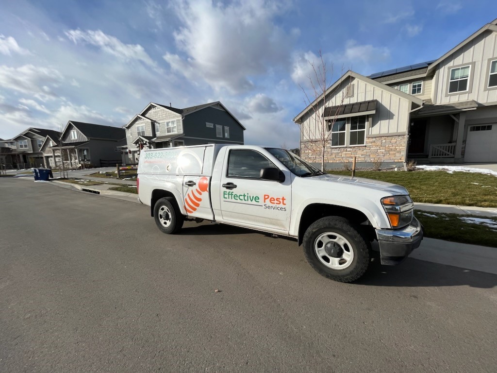 Longmont, CO Pest Control Effective Pest Services