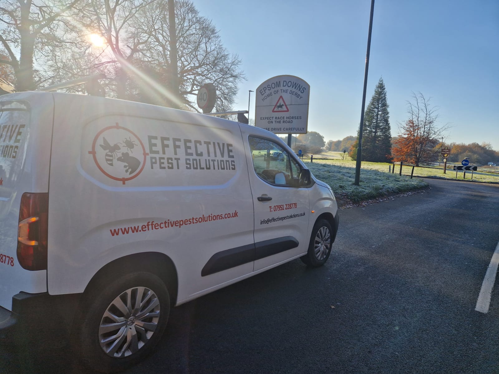 Pest control services Epsom & Stoneleigh All pests covered