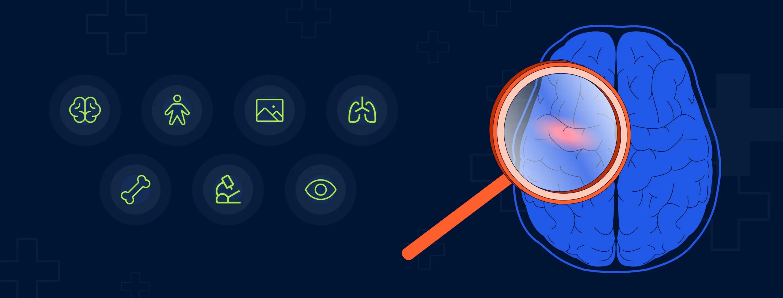 Medical Image Processing using AI EffectiveSoft