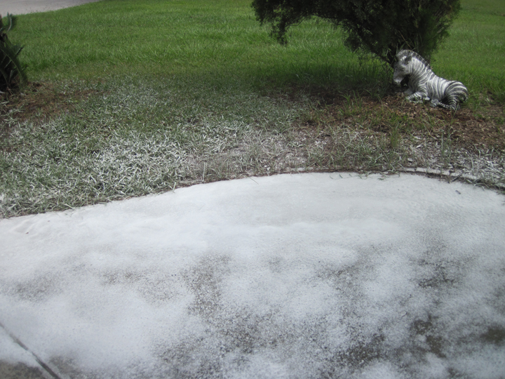 Special Effects Snow Faux Snow Movie snow effects services