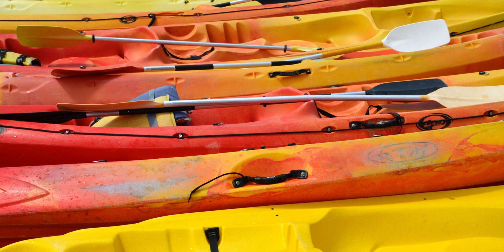 Pole Pedal Paddle Cost Optimization Strategies Maximize Impact for Local NonProfit Effectual