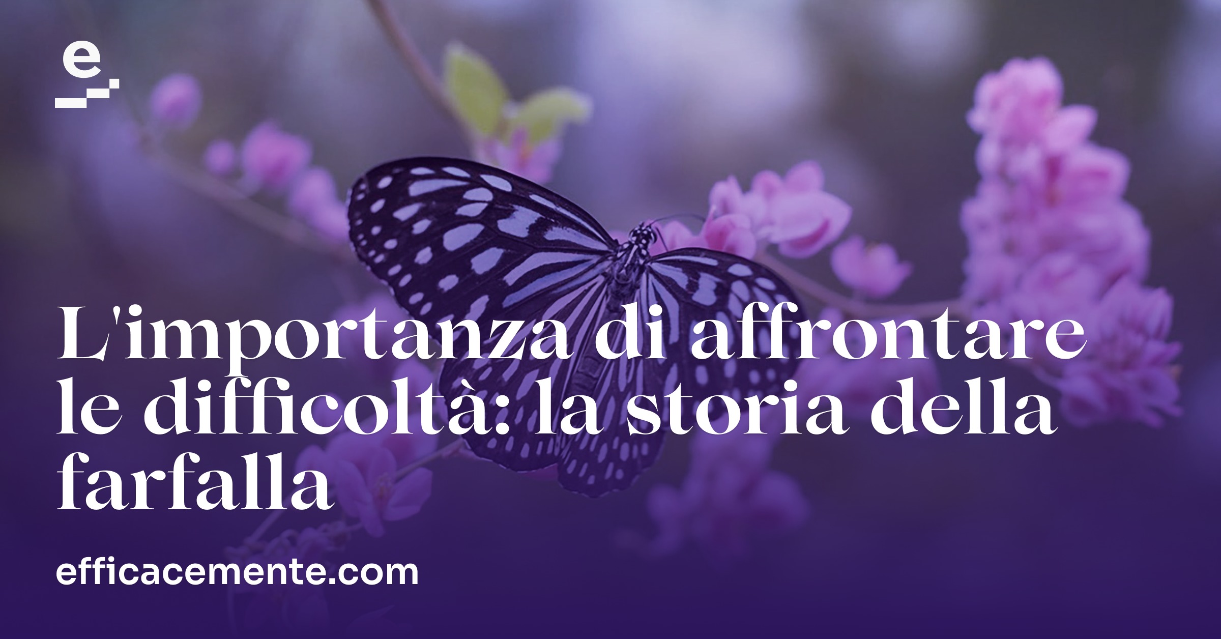 L'importanza Di Affrontare Le Difficoltà: La Storia Della Farfalla | Efficacemente 1256_x_2400_jpg