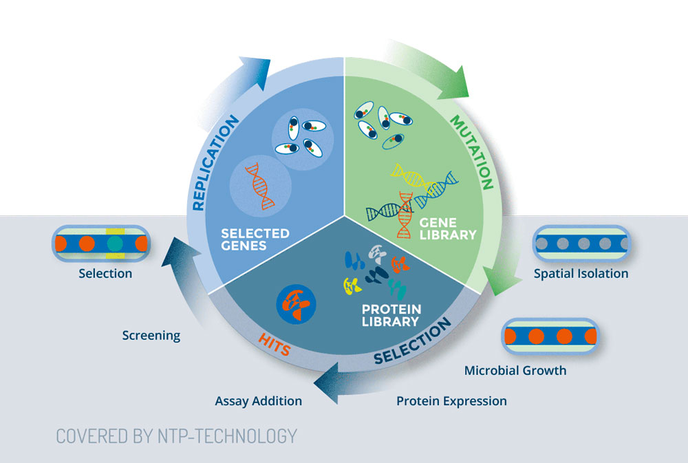 Enzyme and Antibody Optimization Efficient Robotics