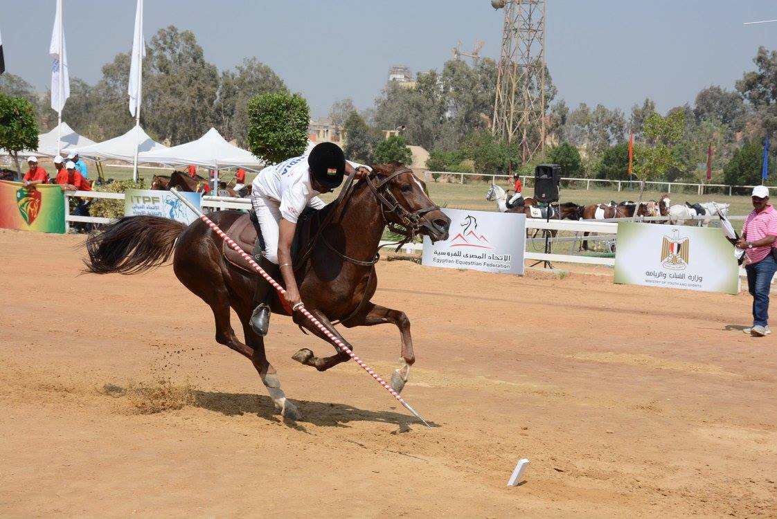 PRESENT FORM OF THE DISCIPLINE