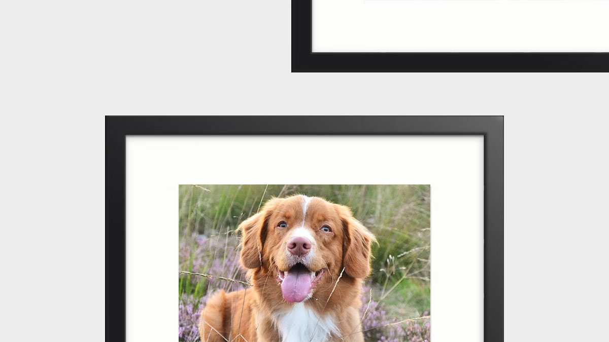 eFrame Picture Frames & Made to Measure Frames Online