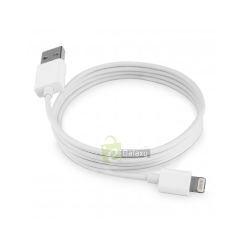 APPLE Data Cable Lighting to USB 1M online in Pakistan
