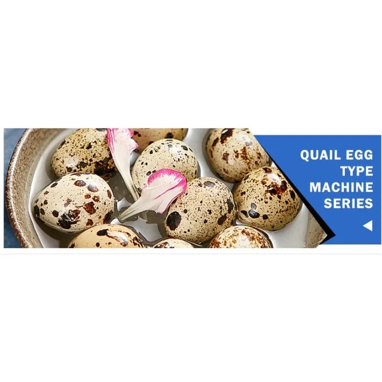 Quail Egg Peeler Machine Egg machine equipment for egg processing and