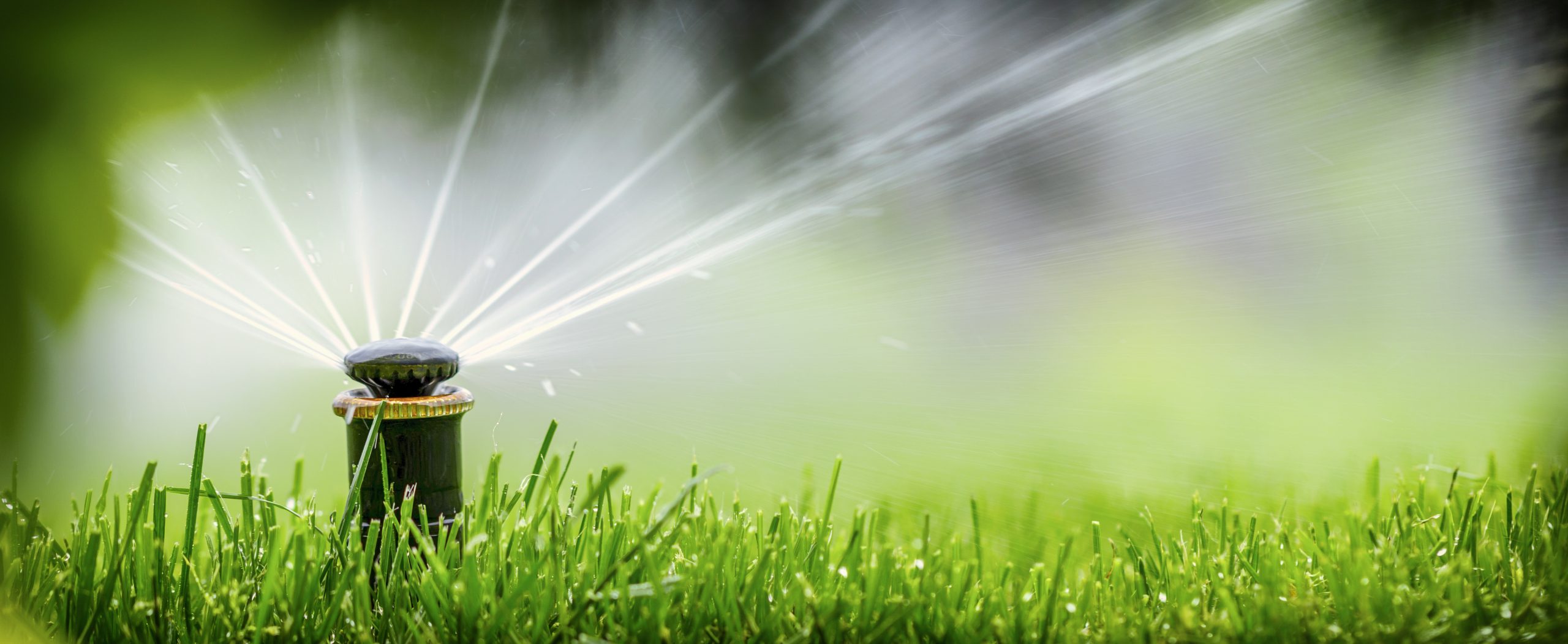 Smart irrigation EGM