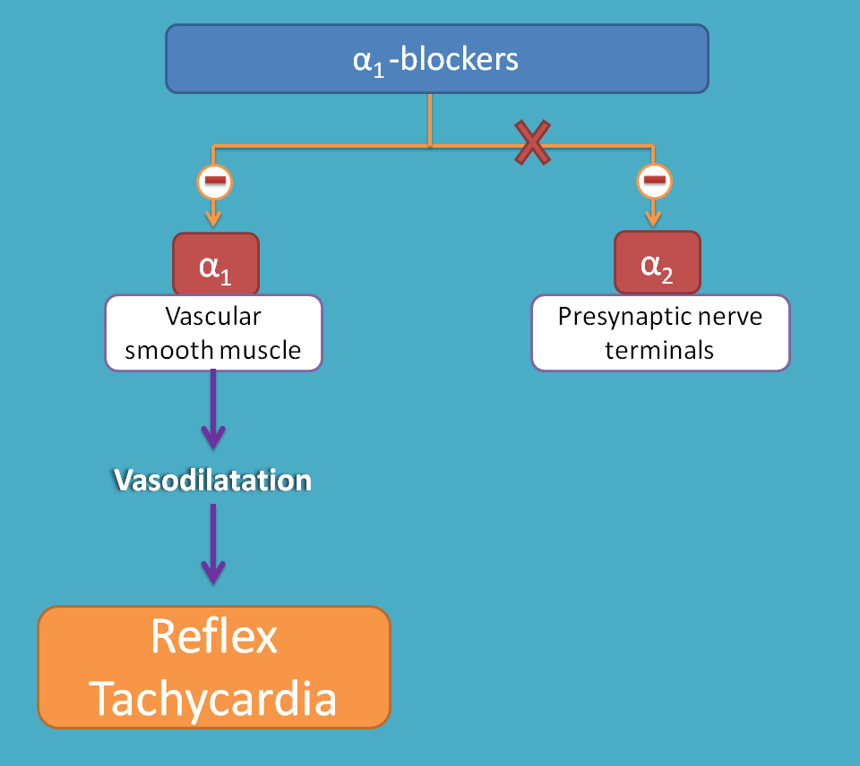 Alpha Beta Blockers List