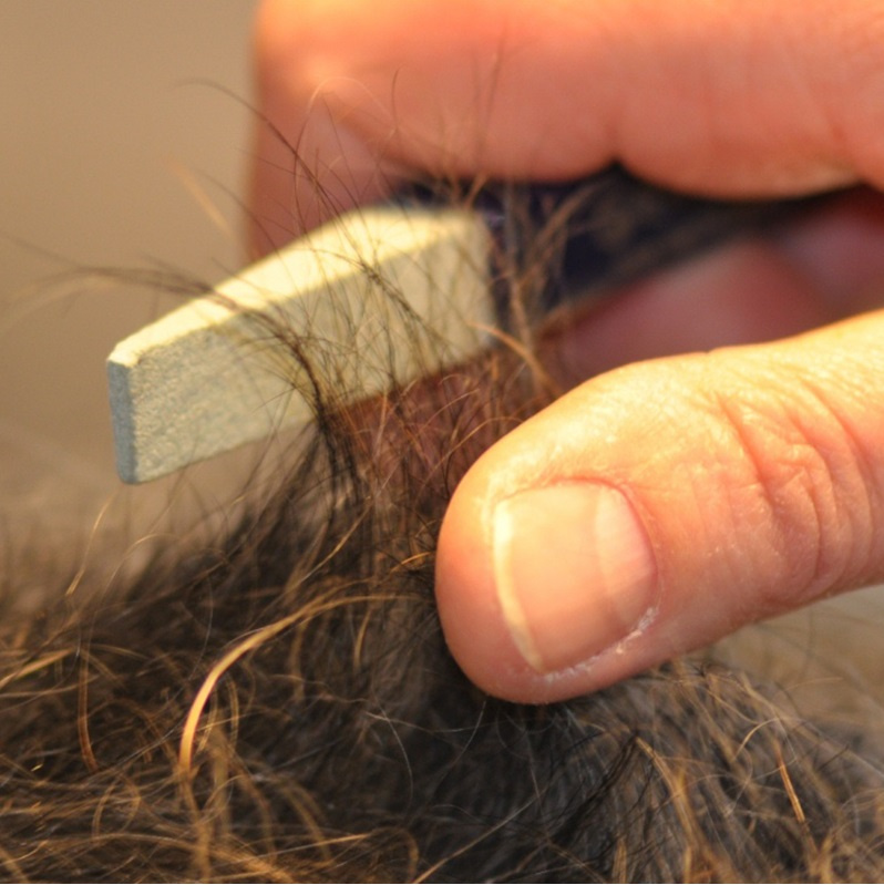 Das richtige Trimmen EHASO Hundepflege