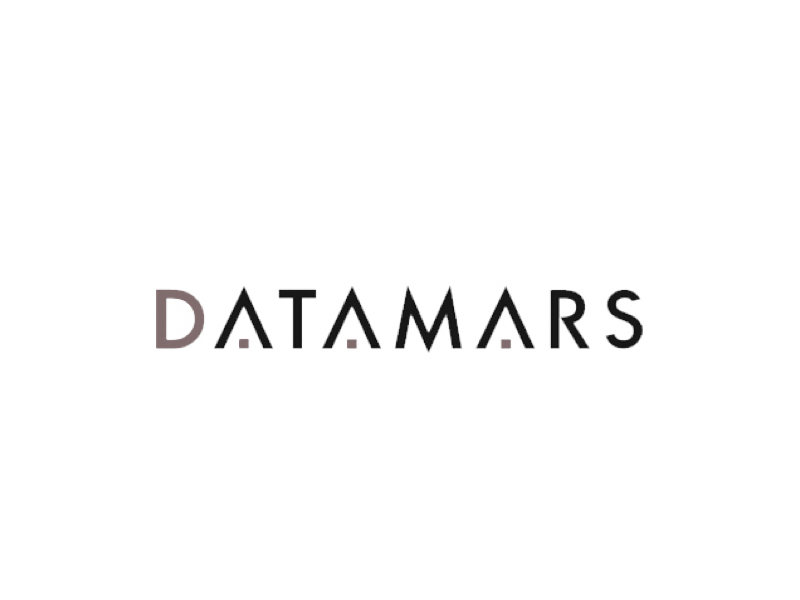 datamars logo