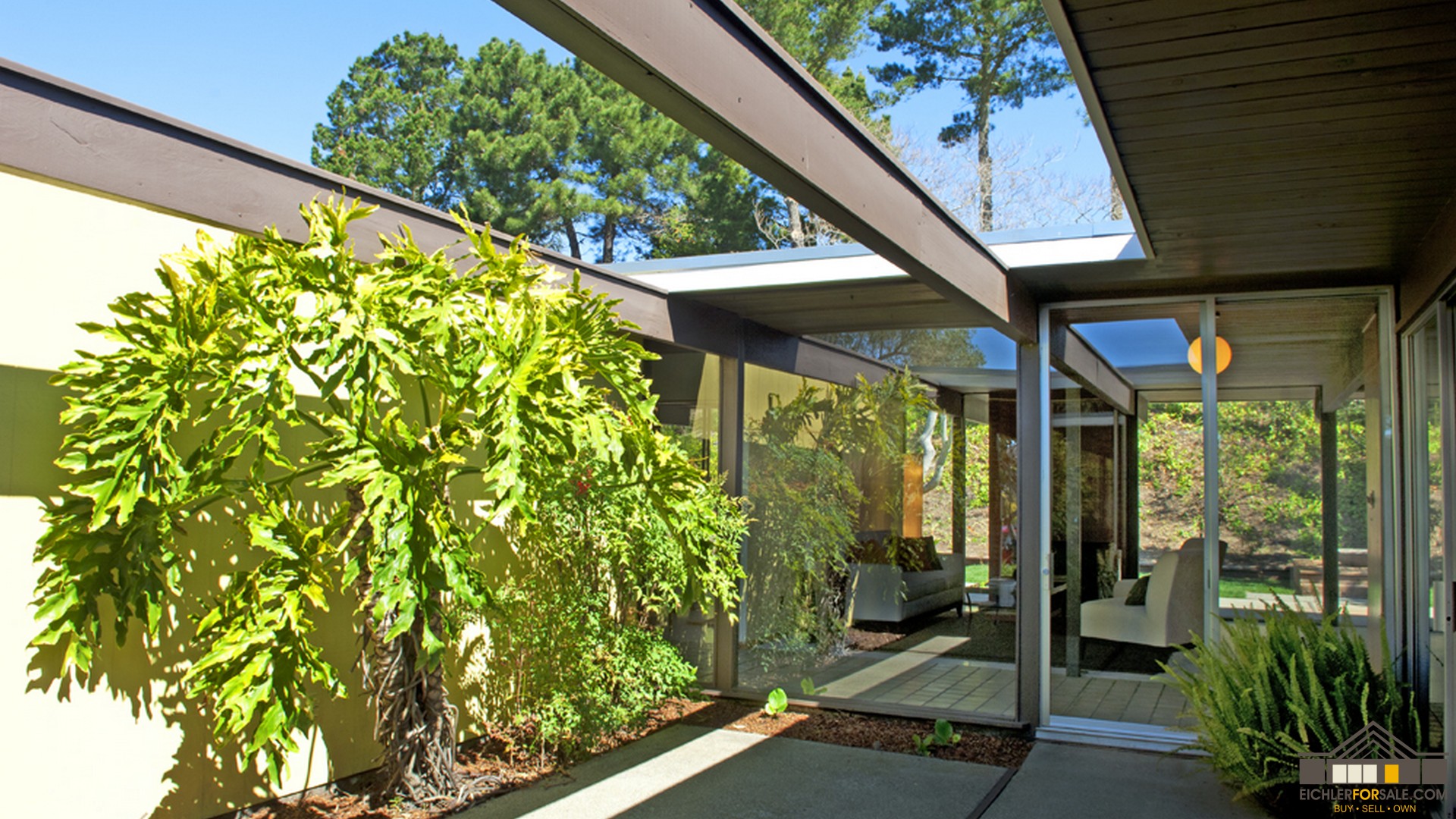 Eichler Atriums Atrium Photo Gallery for MidCentury Modern Eichler Homes