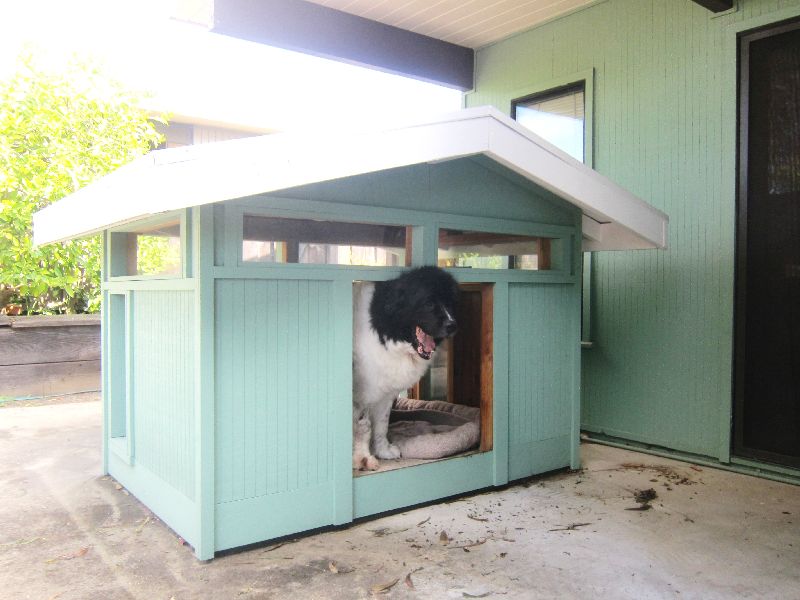 An Eichler House That’s Gone to the Dogs Eichler Network